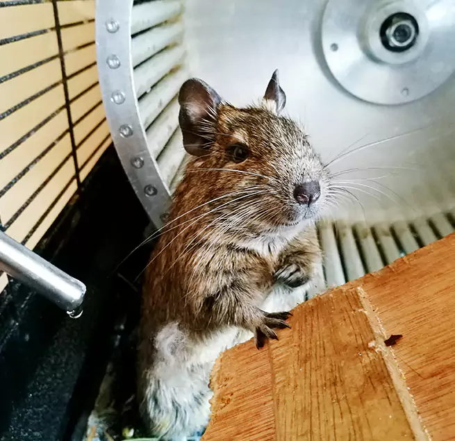 Why Homeowners & Businesses Trust Us Watertown, SD?